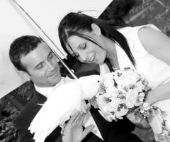 Il pappagallo - Fotovideoluppi