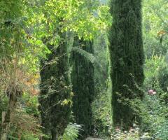 Passeggiata romantica - Mulino dei Marchesi Eroli