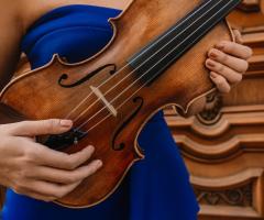 Robert Organista Professionista