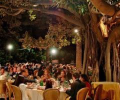 Festeggiamenti del matrimonio sotto un albero secolare a Villa Scalea