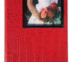 iDentici - Copertina Alnair