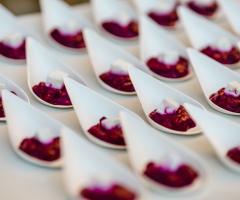 Villa Monteverdi - www.netrecords.it