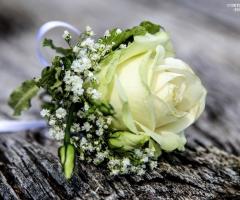 Daniele Cortinovis - Il dettaglio in fotografia