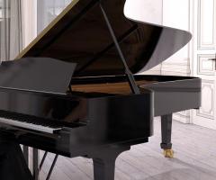 Pianista e organista Max - La musica per il matrimonio a Novara