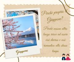 Un viaggio unico.....il Giappone