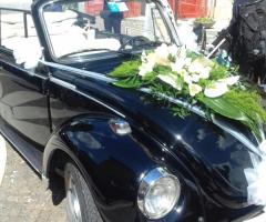 Noleggiami Maggiolini & Co - Dettagli