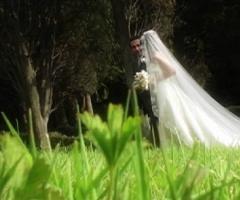 Servizio fotografico per gli sposi in un giardino