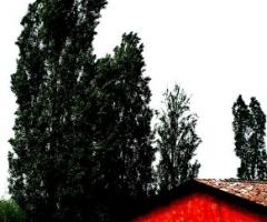 Mulino per il ricevimento di matrimonio ad Alessandria