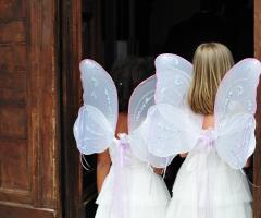 Le damigelle con le ali da farfalla