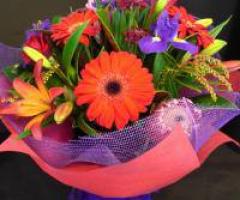 Composizione coloratissima