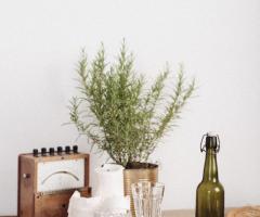 Crinolina Events - Table Setting Bohémien