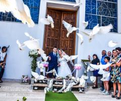 Istanti Fotografia - Il volo delle colombe