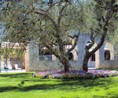 Villa Hollywood - Il giardino