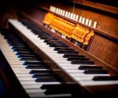 Organista Mario Collegno