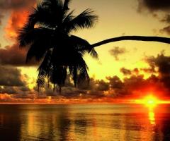 Luna di miele al mare