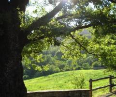 L'ampio giardino che circonda il palazzo
