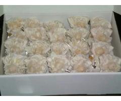 Segnaposto - Fiordisa Creatività