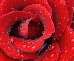 Cura dei dettagli - Sedicieventi di Valeria Zanardi