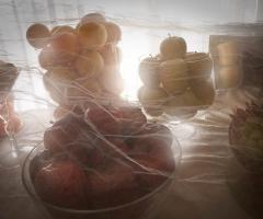 Isola della frutta - Ristorante Pierino Penati