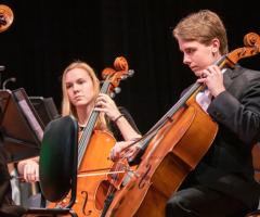 Robert Organista Professionista