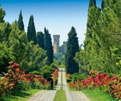 Giardino per il rivemento di matrimonio