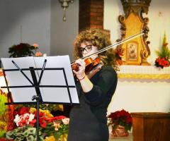 Violino - The Quartet