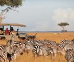 Safari in Kenya - Tiziano Easy Nite