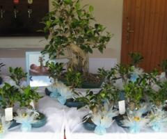 Bomboniere per gli invitati al matrimonio