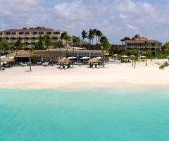 Roberto Di Francesco Consulente CartOrange - Aruba