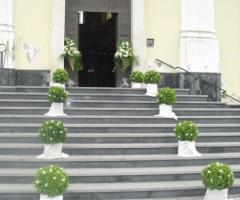 Addobbi con alberelli bassi verdi per l'esterno della chiesa