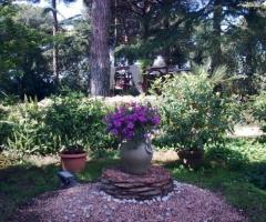 Ricevimenti di matrimonio in giardino