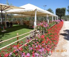 Viale fiorito - Ristorante Pulcianese