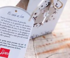 Bomboniere solidali LIPU