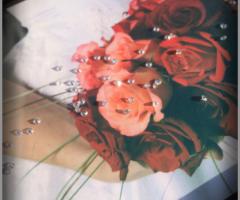 iDentici - Copertina Alnair particolare