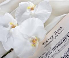 Di Chicchi e Miele - Agenzia di wedding planner a Milano