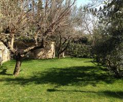 I Giardini di Villa Maria - Balza dei cachi
