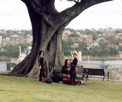 Sara Picasso Musica - Violini per matrimonio