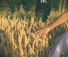 Italian Dream Weddings - Nel campo di grano