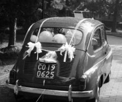 Biancoperla Events and Wedding - Wedding planner a Milano