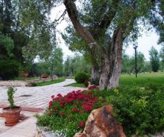 Villa Ciccorosella - Location di nozze a Palo del Colle (Bari)