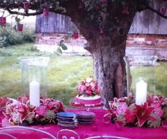 Andrea's Tea Party Les Baux-de-Provence