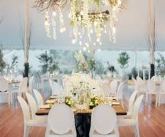 Safari wedding - Sud Africa