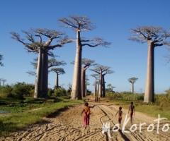 Mokoro Tours - Agenzia per viaggi di nozze in Africa 