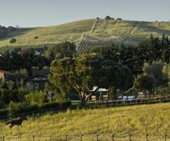 Agriturismo Il Melograno di Banditella - Azienda agricola