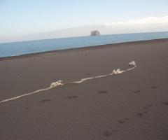 Weddings Stromboli - Matrimonio a Stromboli