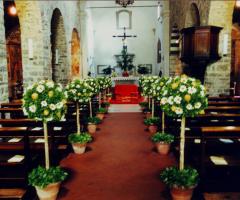 Allestimento con alberelli per la cerimonia di nozze