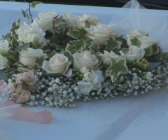 AndreAudioVideo Servicios - Fiori sulla Limousine