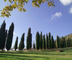 Giardino della location di nozze