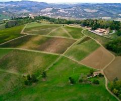Vista sui colli bolognesi che si può ammirare dalla tenuta