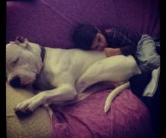 Drago e il mio bimbo Brando - Dog Sitter Milano